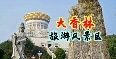 小黄片大逼中国浙江-绍兴大香林旅游风景区